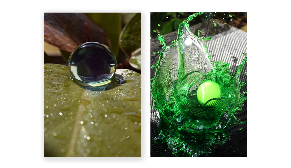 Selective Focus and Frozen Action